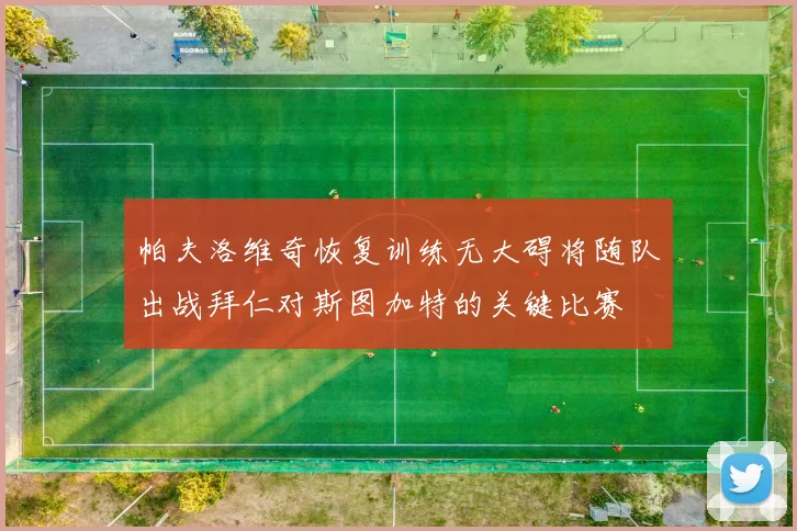 帕夫洛维奇恢复训练无大碍将随队出战拜仁对斯图加特的关键比赛